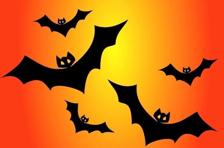 Bats