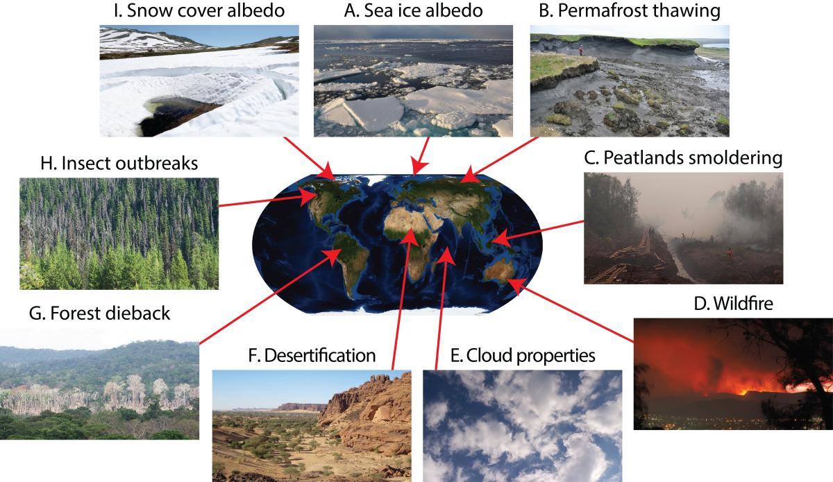 Climate Feedbacks Map